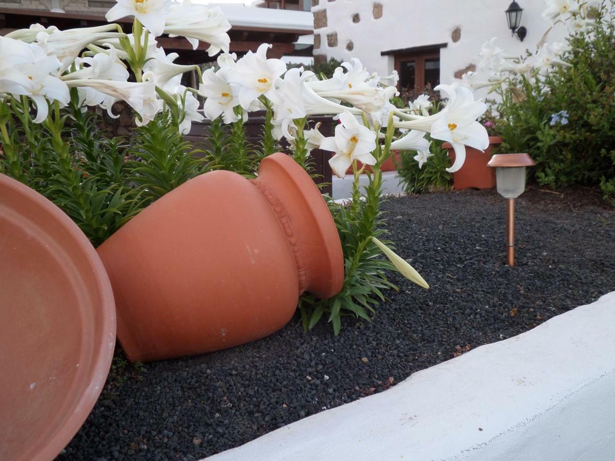 Finca De Los Abuelos Гуатиса Экстерьер фото